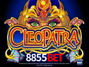 Cadastro rápido e seguro na 8855bet